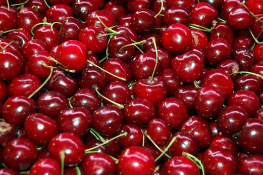 Torrelles Experience